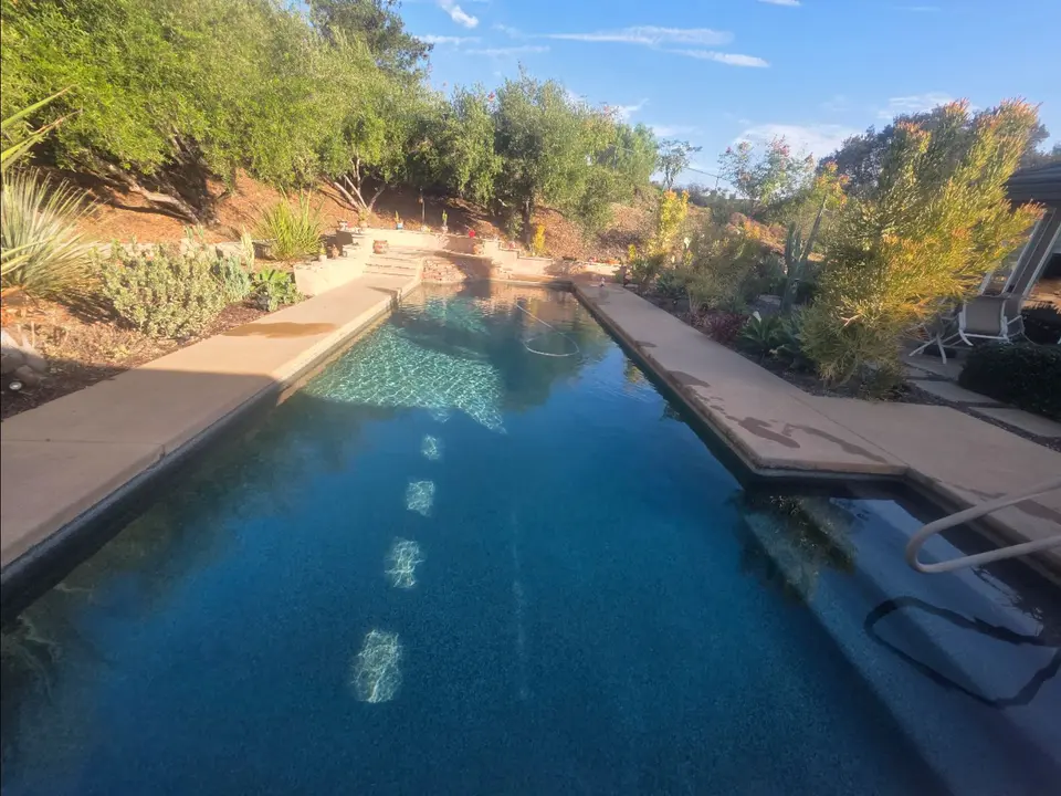 Clear blue water fills a rectangular pool with entry steps, stone coping, and surrounding landscaped gardens, after pool service in Fallbrook, CA