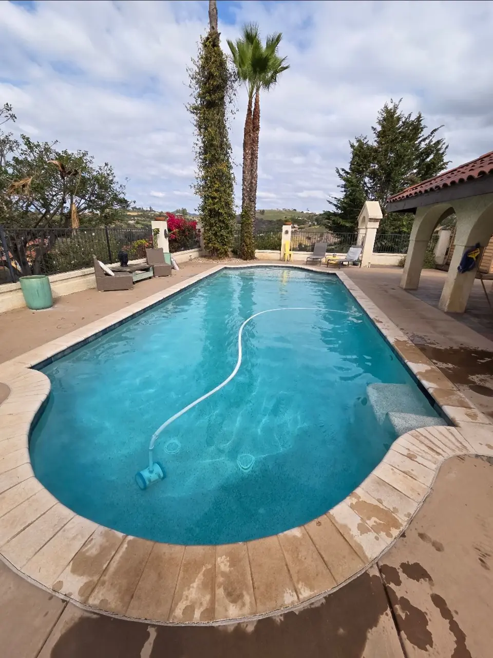 Clear turquoise pool with rounded corners, underwater steps, a cleaner hose, and palm-lined patio seating, after pool service in Fallbrook, CA