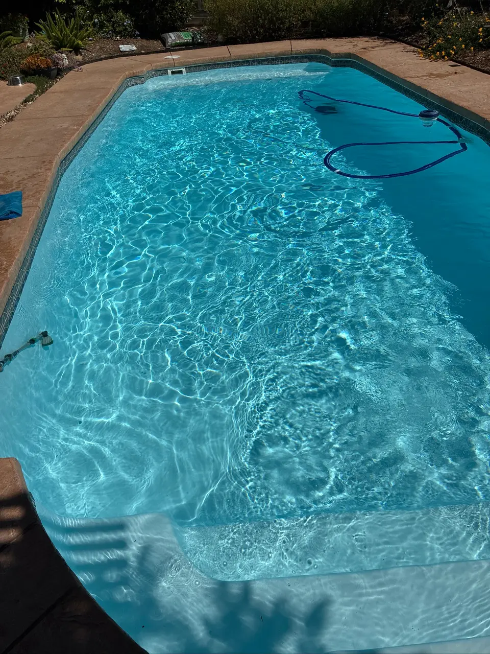 Sparkling blue pool water reveals entry steps and a light finish, with tile edging and garden landscaping, after pool service in Folsom, CA