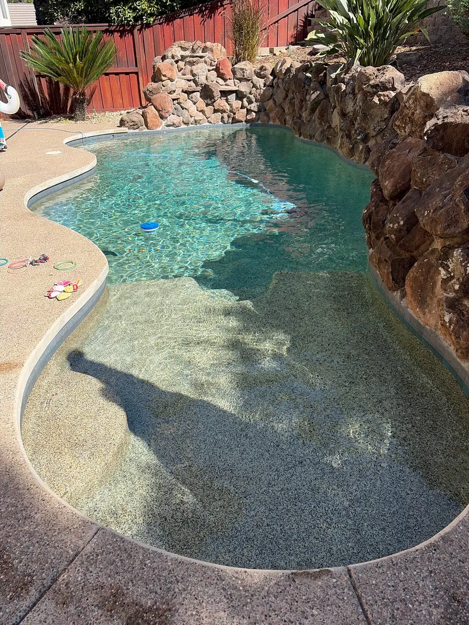 Clear turquoise water fills a freeform pebble-finish pool with shallow steps, rock waterfall, and tropical landscaping, after pool service in Folsom, CA