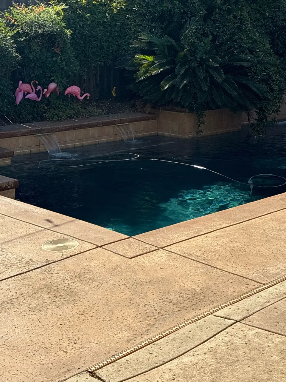 Clear dark teal pool water beneath tiled waterfalls, bordered by dense landscaping and a concrete deck, after repair in Folsom, CA