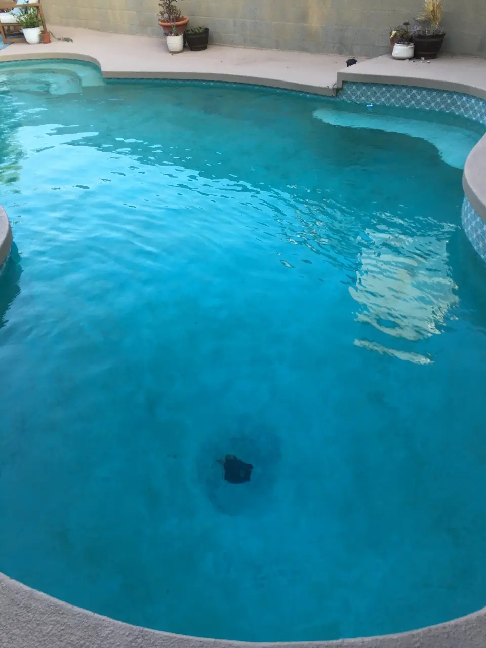 Clear turquoise pool water reveals a mottled finish, submerged steps, and a curved bench beneath patterned waterline tile, after pool service in Hermosa Beach, CA