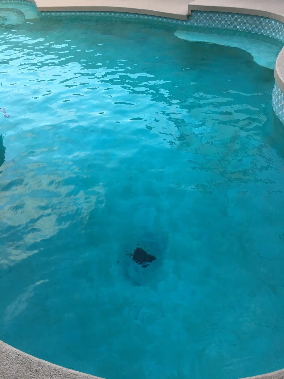 Clear turquoise pool water bordered by blue patterned tile, curved coping, and a submerged bench, after pool service in Hermosa Beach, CA