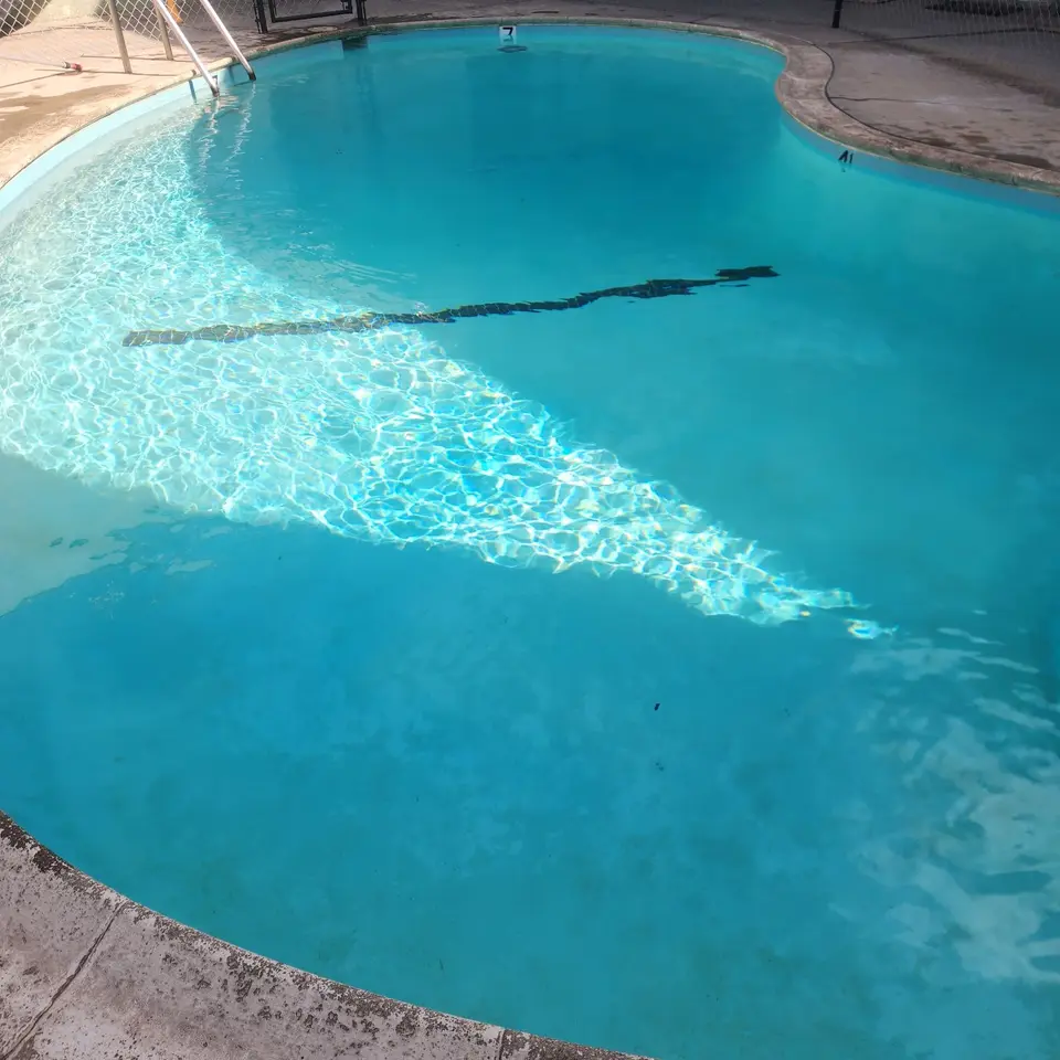 Clear turquoise water fills a curved pool with a metal ladder, underwater marking, and weathered concrete deck, after pool service in Inglewood, CA
