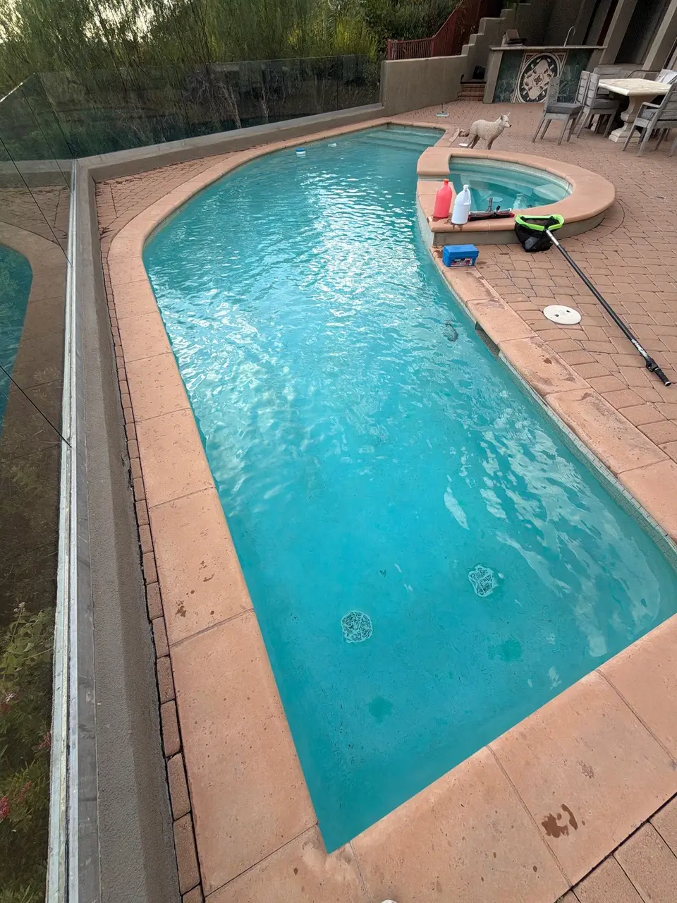 Clear turquoise water fills a curved pool with an attached raised spa, glass fencing, and brick patio, after pool service in La Jolla, CA
