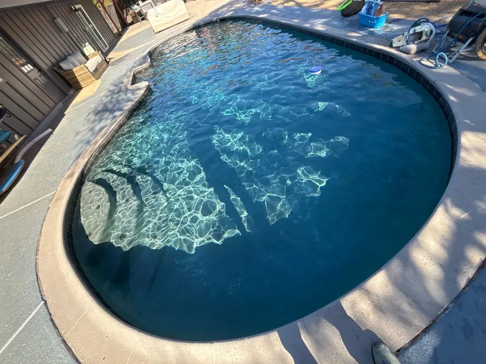 Clear blue water fills a curved pool with submerged entry steps, dark waterline tile, and concrete coping, after pool service in Lakeside, CA