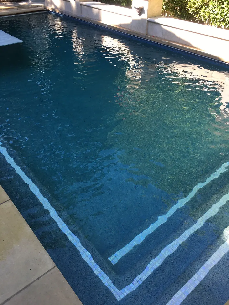 Clear deep teal water fills a dark-finished pool with tile-trimmed entry steps and greenery along a raised wall, after pool service in Manhattan Beach, CA