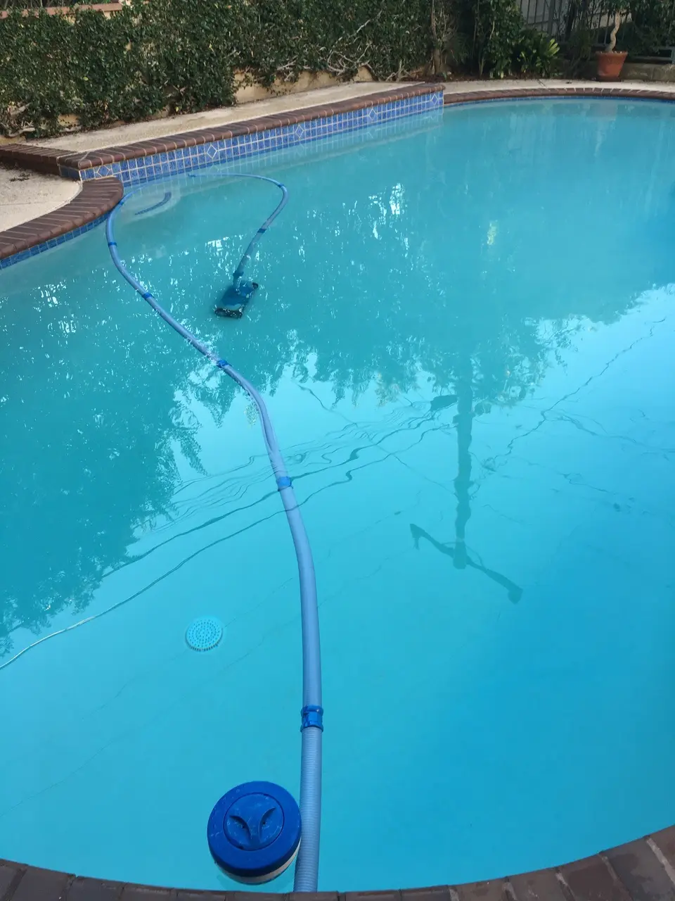 Clear turquoise pool water with blue waterline tile, brick coping, and a submerged cleaner with hose, after pool service in Manhattan Beach, CA