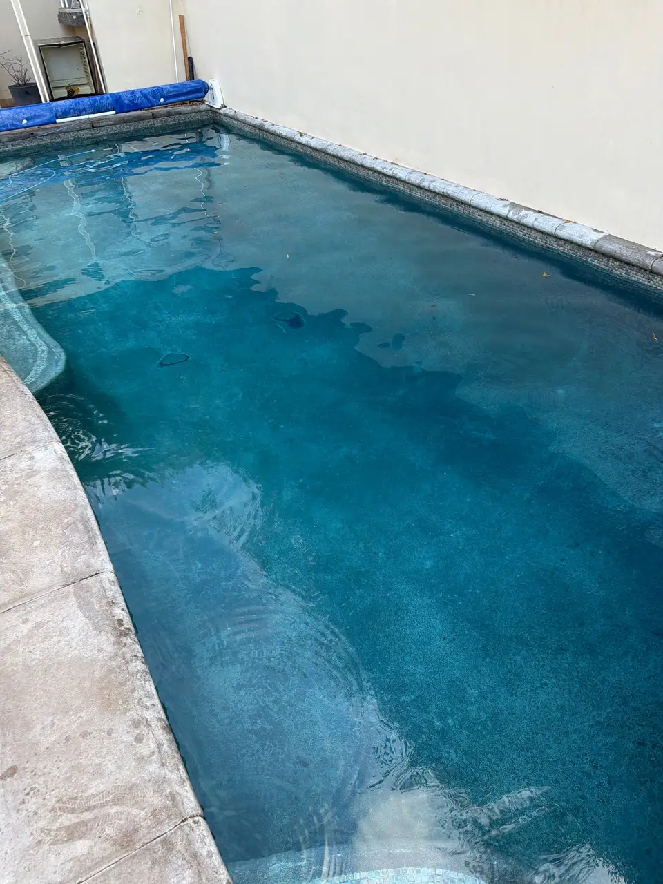 Clear blue water in a narrow pool with a mottled finish, stone coping, and rolled cover, after pool service in Manhattan Beach, CA