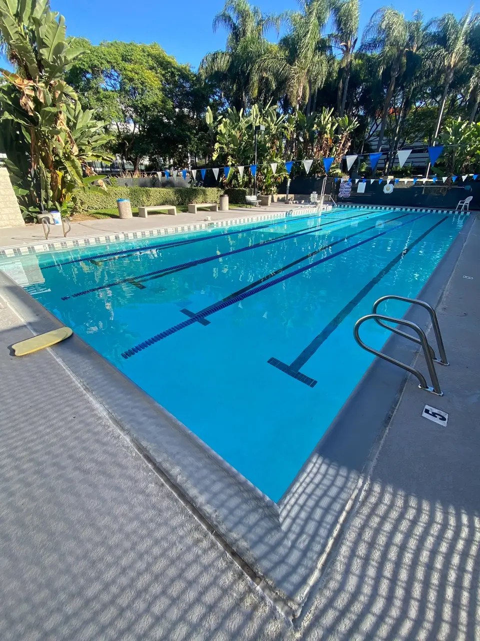 Sparkling blue lap pool with lane markings, stainless steel ladders, overhead flags, and tropical landscaping, after pool service in Mira Mesa, CA