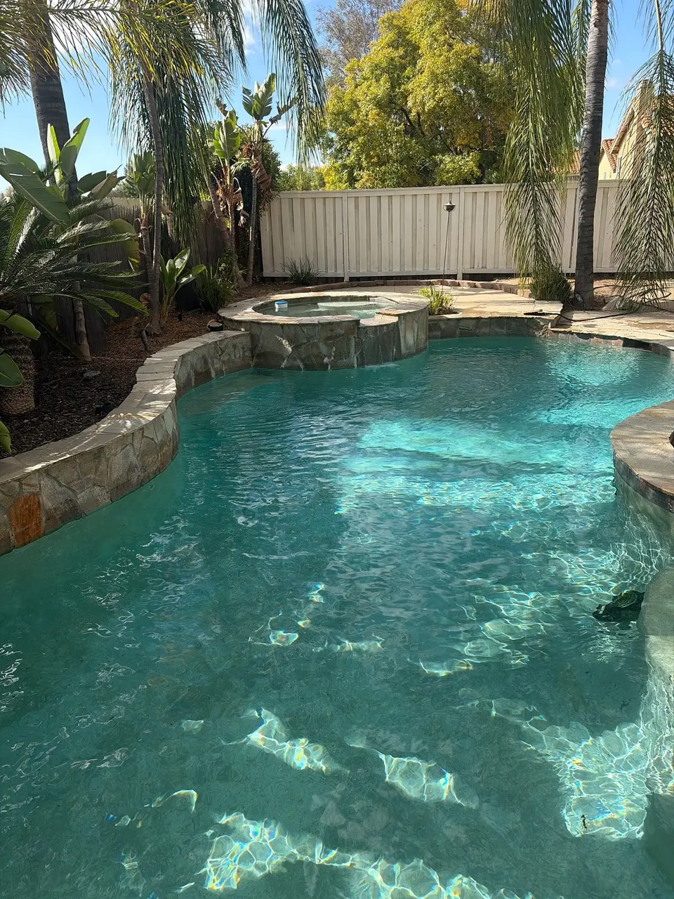 Sparkling turquoise water fills a freeform pool with a raised stone spa and surrounding tropical landscaping, after pool service in Murrieta, CA