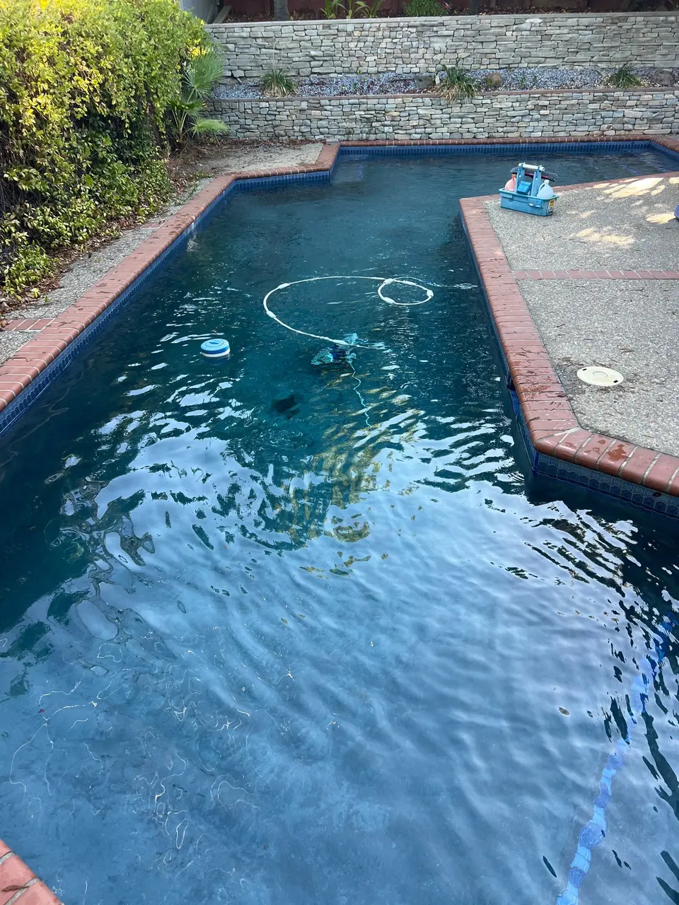 Clear blue water fills an angular pool with brick coping, blue tile, stone walls, and a submerged cleaner, after pool service in Orangevale, CA