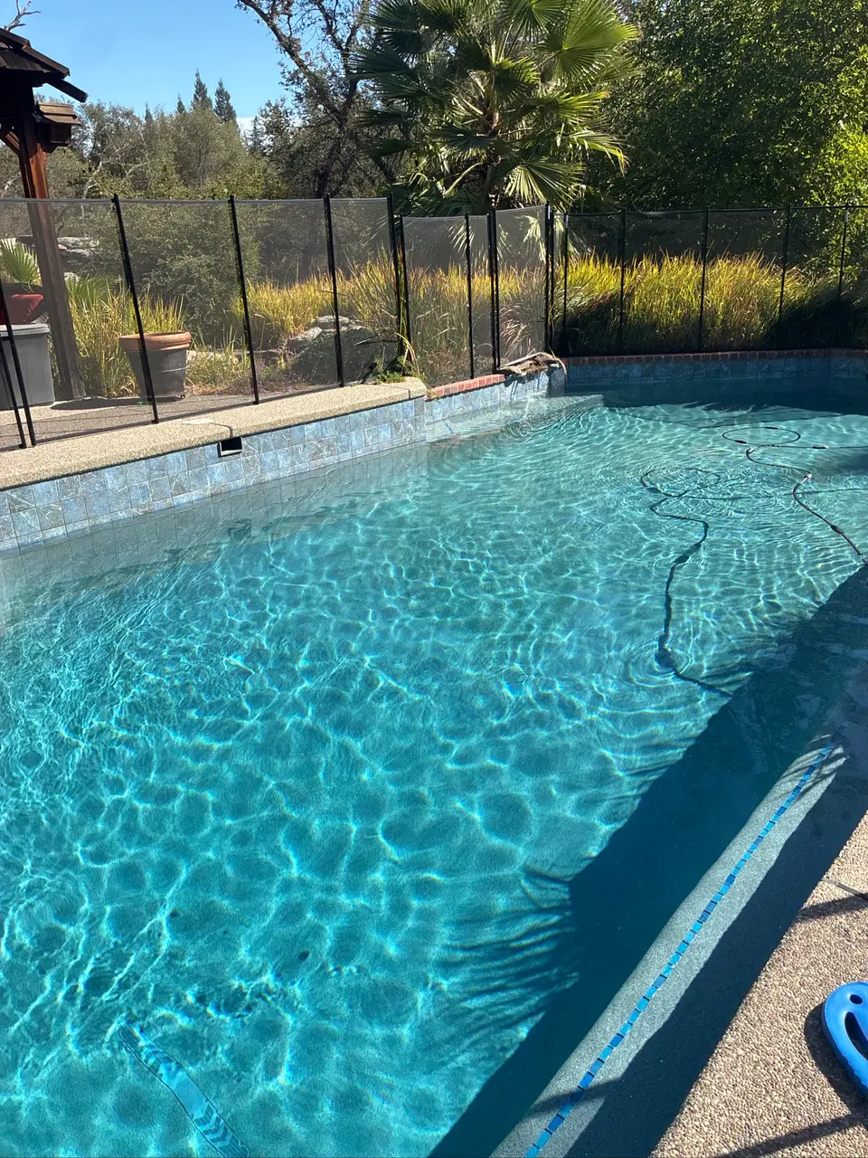 Sparkling blue pool water beneath a tiled wall with a small waterfall, safety fence, and palm landscaping, after pool service in Orangevale, CA