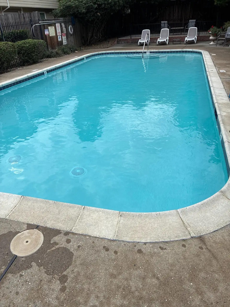 Clear turquoise water fills a pool bordered by blue tile, concrete decking, lounge chairs, and shrubs, after pool service in Orangevale, CA