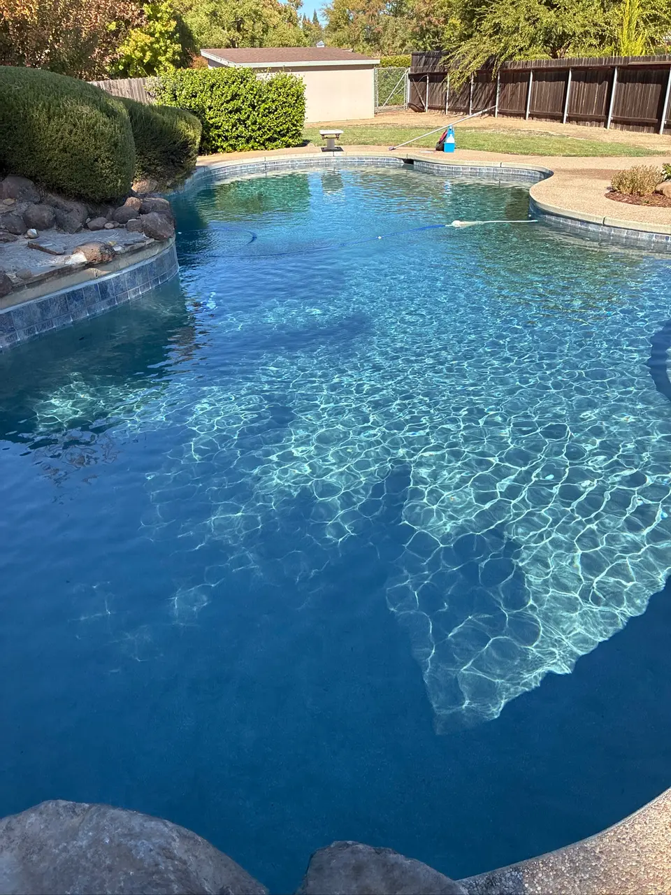 Sparkling blue water fills a freeform pool with rock landscaping, blue waterline tile, and a diving board, after pool service in Orangevale, CA