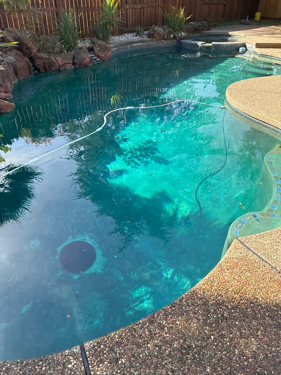 Clear turquoise water fills a curved pool with a raised spa, rock border, and landscaped surroundings, after pool service in Orangevale, CA
