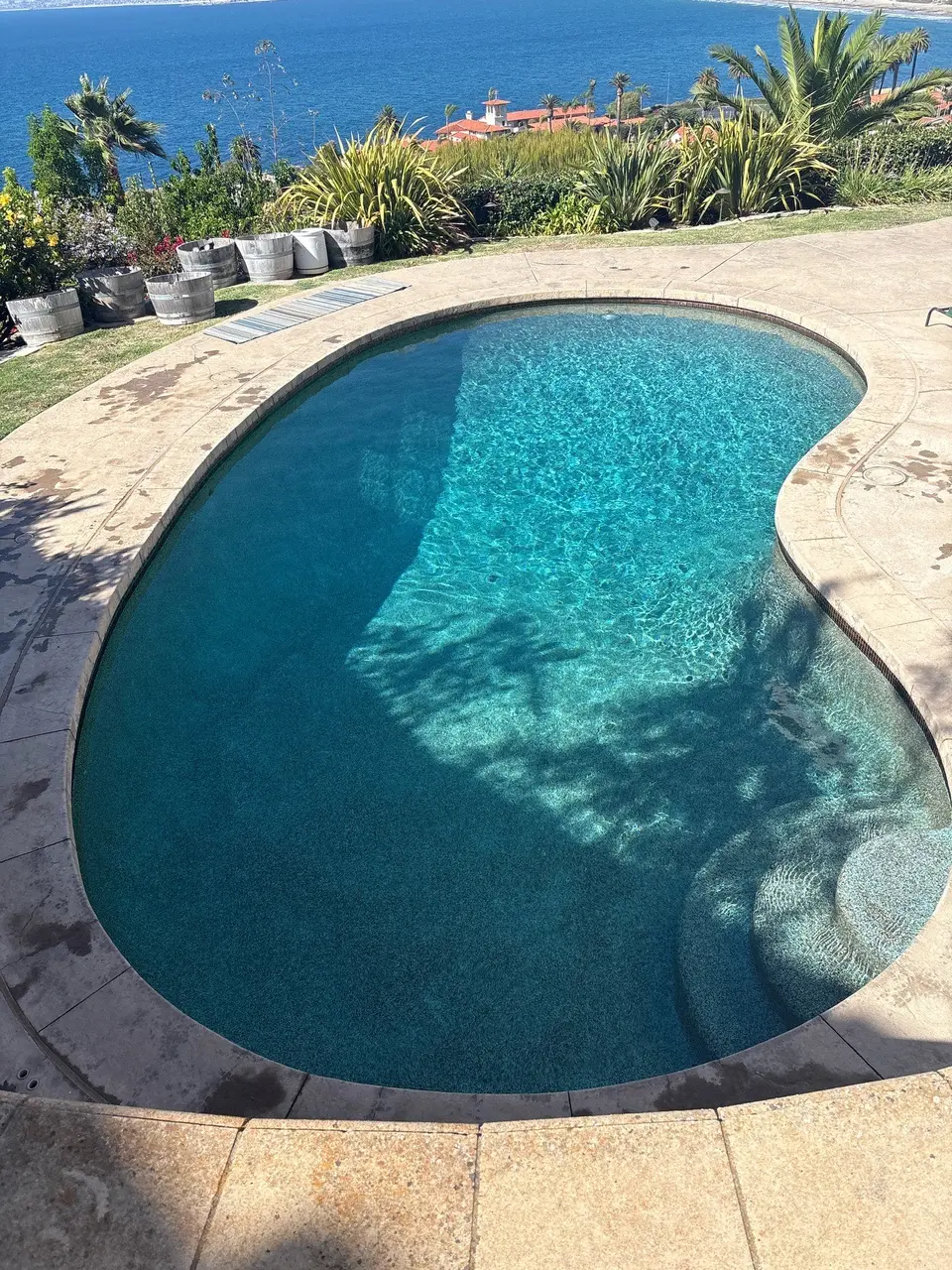 Sparkling turquoise water fills a freeform pool with submerged steps, stone coping, tropical landscaping, and a waterfront backdrop, after pool service in Palos Verdes Estates, CA