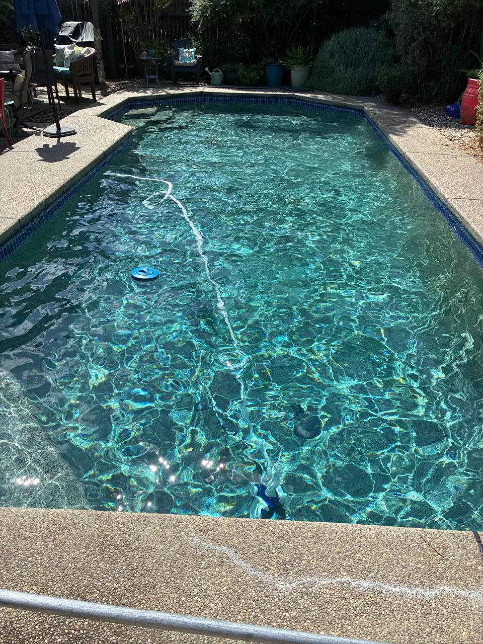 Pool with sparkling turquoise water, blue waterline tile, a submerged cleaner, and surrounding shrubs and potted plants, after pool service in Rancho Cordova, CA