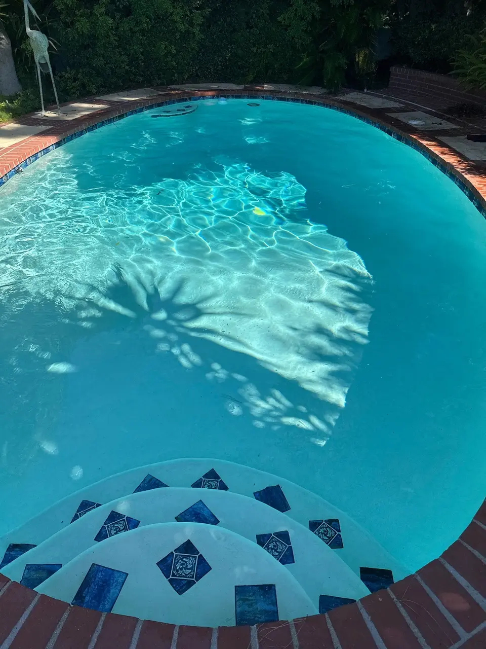 Clear turquoise pool water surrounds curved, blue-tiled entry steps, with brick coping and dense landscaping, after pool service in Rancho Palos Verdes, CA