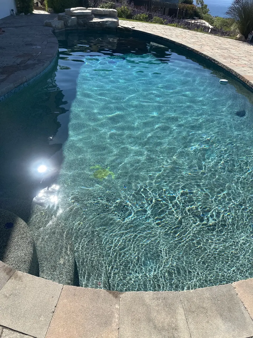 Sparkling turquoise water reveals a pebble finish and curved steps, with rock work and stone decking surrounding the pool, after pool service in Rancho Palos Verdes, CA