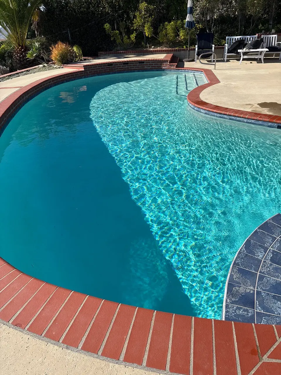 Sparkling turquoise water fills a curved pool with brick coping, tiled steps, and surrounding tropical landscaping, after pool service in Rancho Palos Verdes, CA