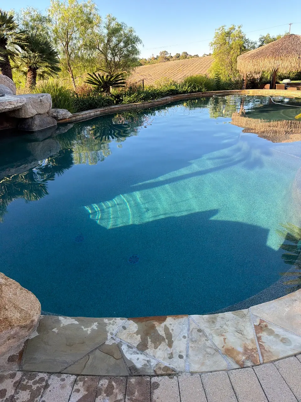 Clear blue pool water reveals curved entry steps, surrounded by stone coping, rock work, and tropical landscaping, after pool service in Rancho Santa Fe, CA
