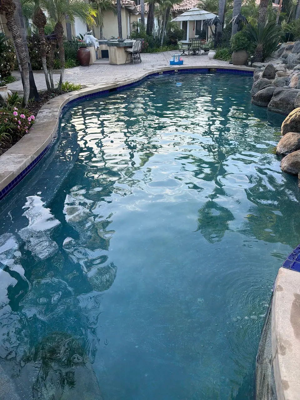 Clear teal water fills a freeform pool bordered by blue tile, rock work, and palm landscaping, after pool service in Rancho Santa Fe, CA