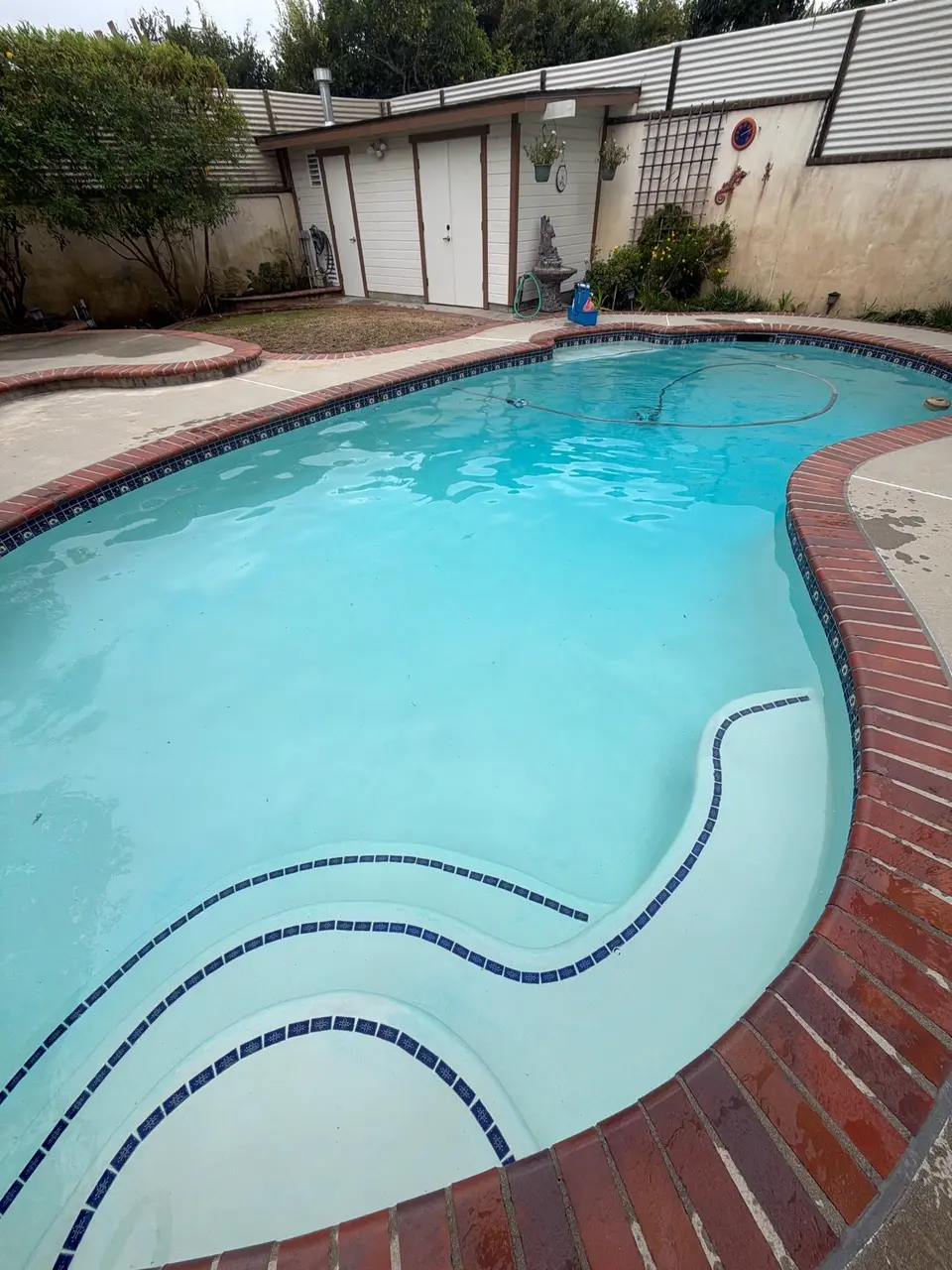 Clear turquoise water fills a curved pool with tiled entry steps, brick coping, and surrounding landscaping, after pool service in Redondo Beach, CA