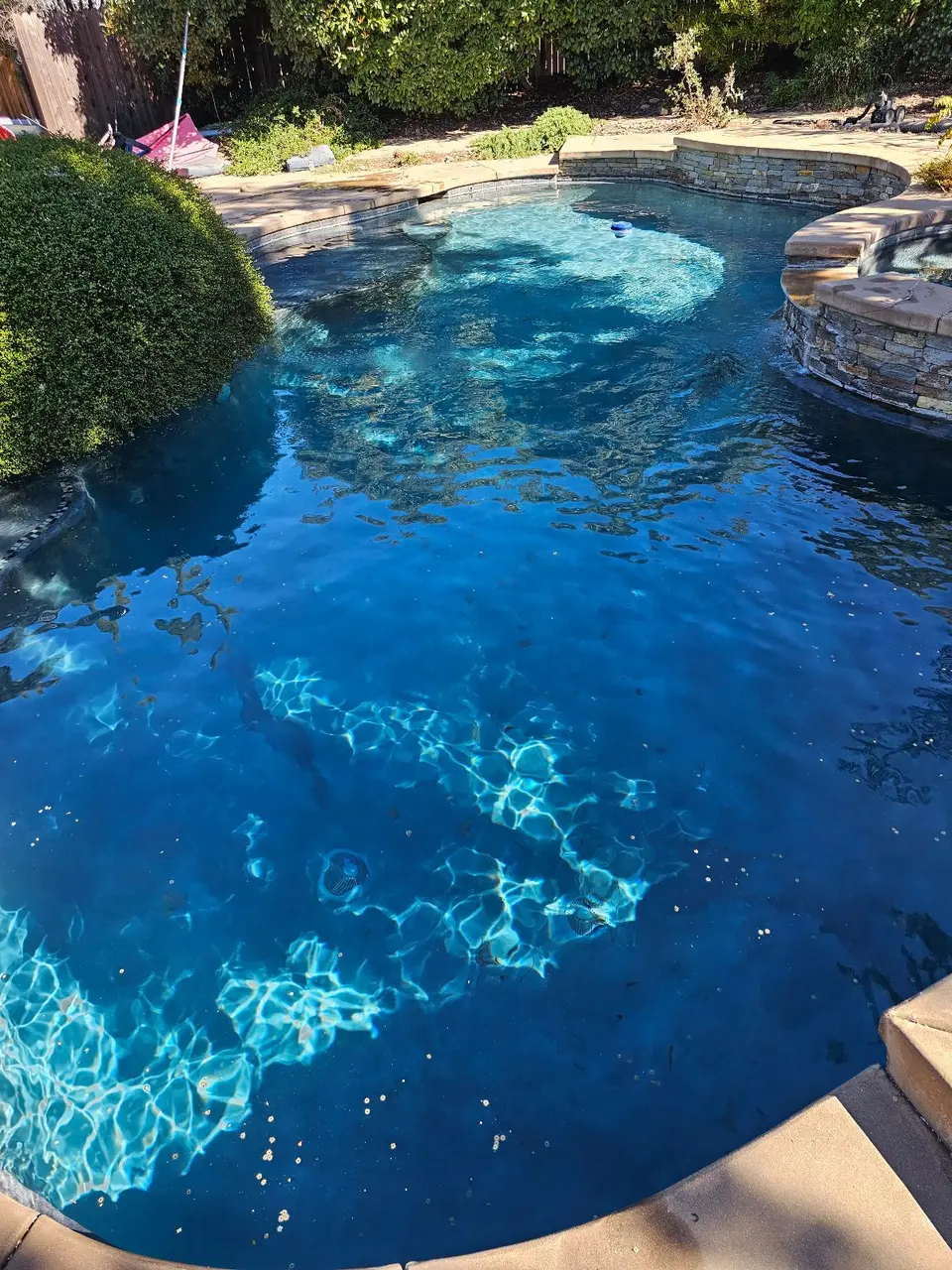 Clear blue water fills a freeform pool beside a raised stone spa and dense landscaping, after pool service in Rocklin, CA