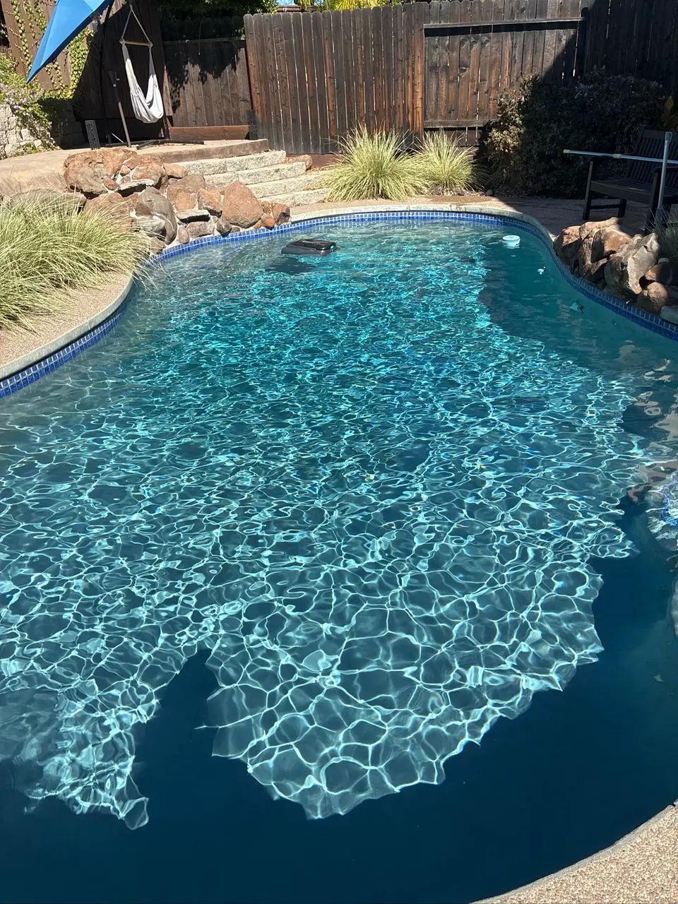 Sparkling blue water fills a freeform pool bordered by blue tile, rocks, and ornamental grasses, after pool service in Rocklin, CA