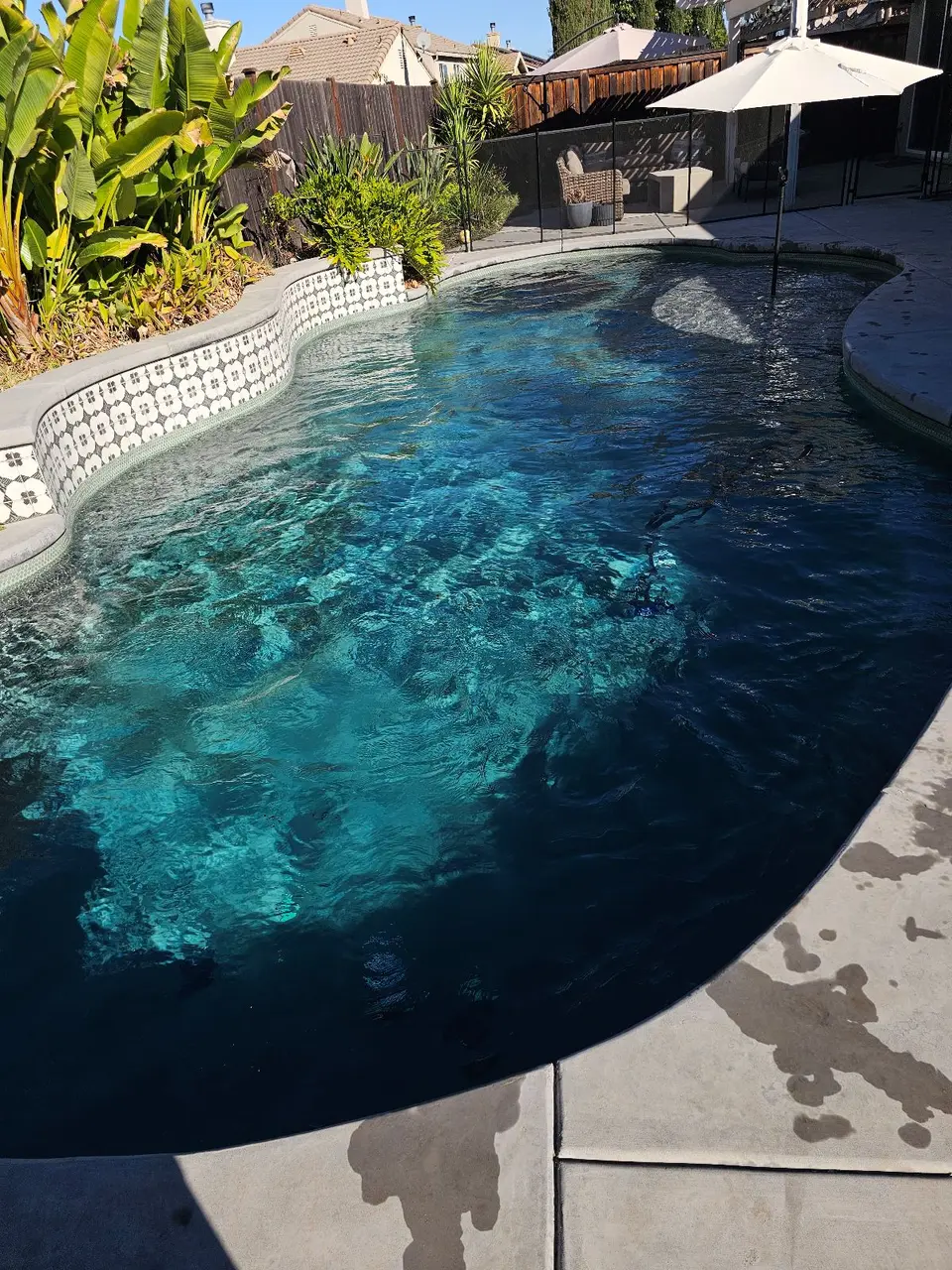 Clear blue water fills a freeform pool bordered by patterned tile, tropical plants, and a poolside umbrella, after pool service in Rocklin, CA