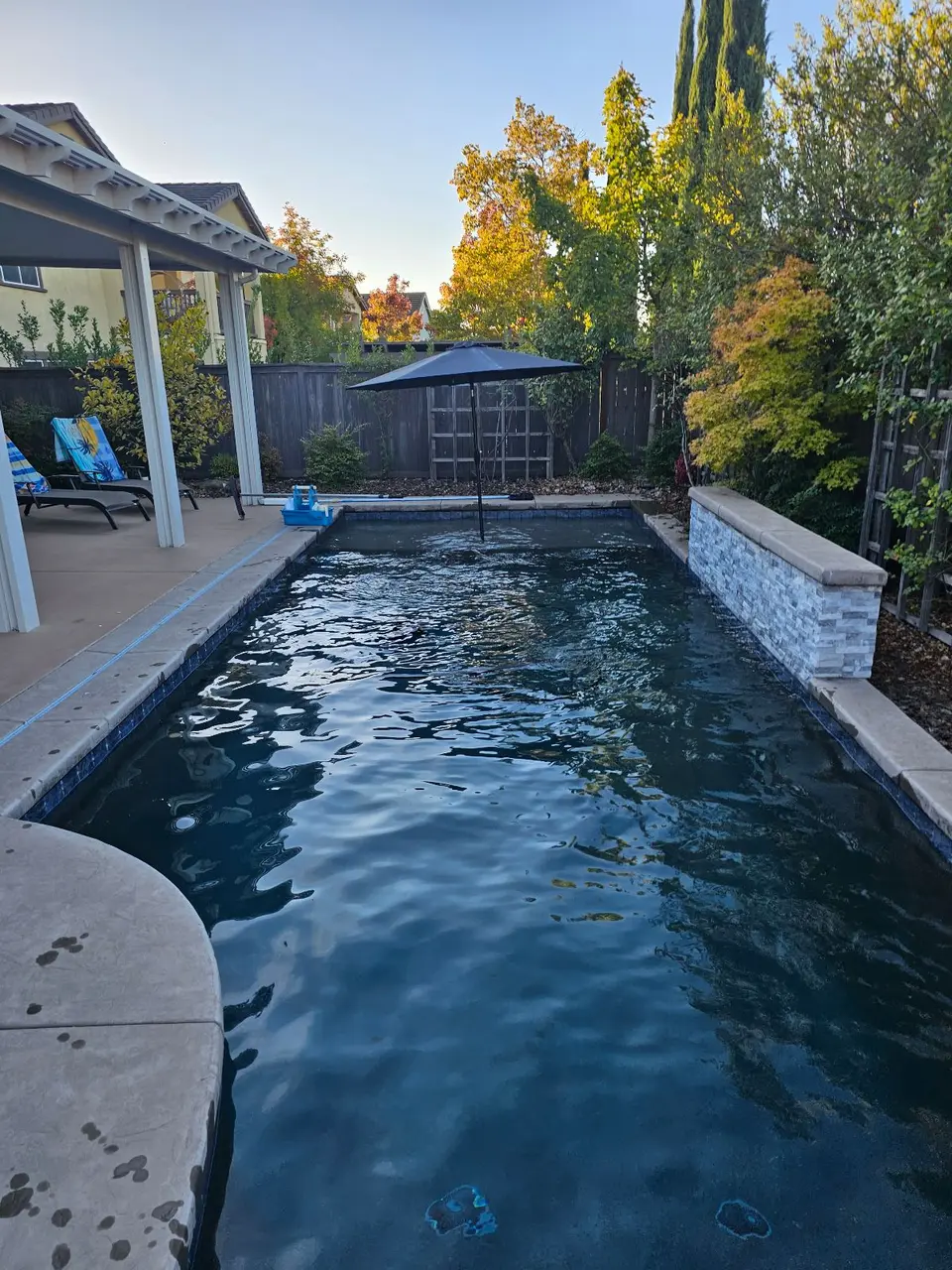 Clear dark blue pool water beside a raised stone-clad wall, with an umbrella and lush surrounding landscaping, after pool service in Rocklin, CA