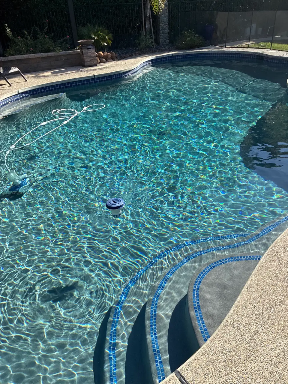 Sparkling blue water fills a freeform pool with curved entry steps, blue tile trim, and surrounding landscaping, after pool service in Rocklin, CA