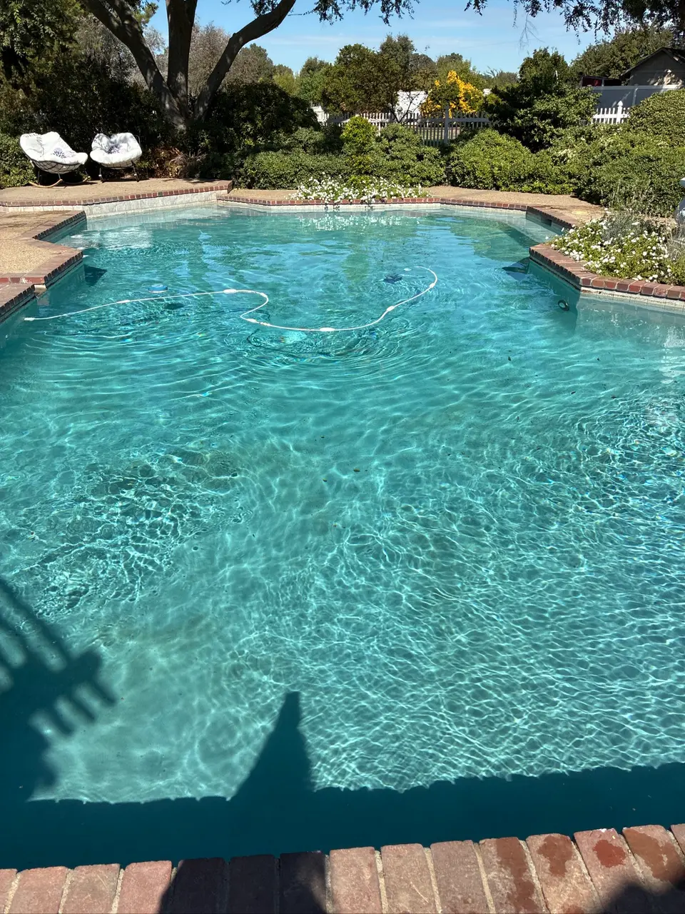 Sparkling turquoise pool with brick coping, submerged steps, a cleaner hose, and surrounding flowers and mature trees, after pool service in Roseville, CA
