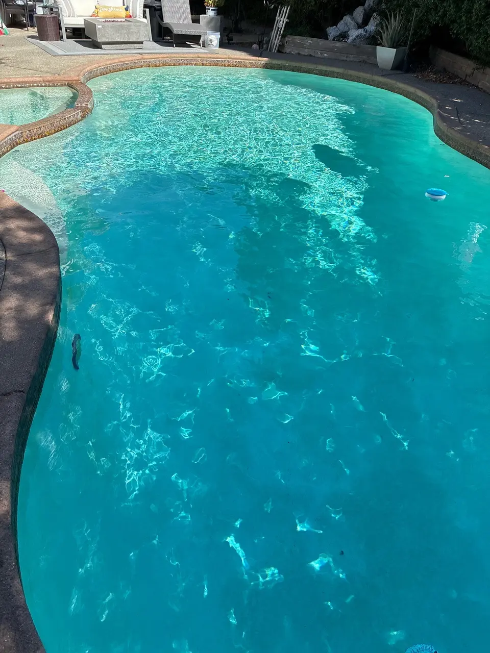 Sparkling turquoise water fills a freeform pool with an attached raised spa, decorative tile, and poolside seating, after pool service in Roseville, CA