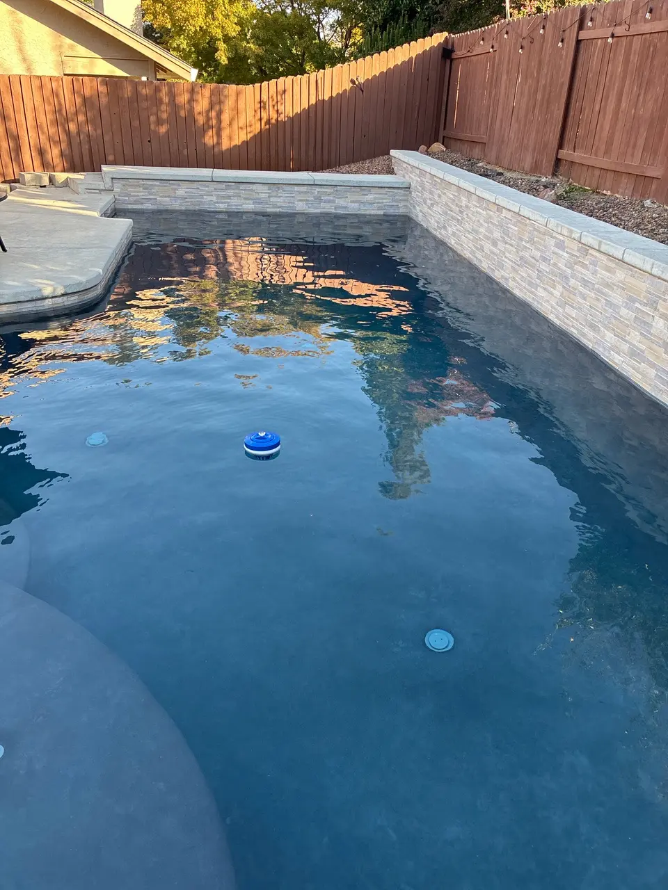 Clear blue pool water borders curved entry steps and raised stone-clad walls beneath a wood privacy fence, after pool service in Roseville, CA