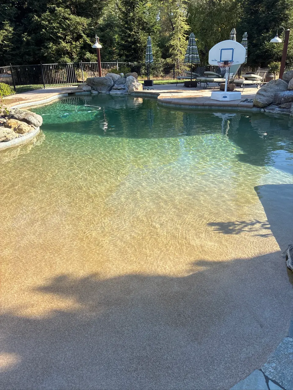 Sparkling clear water covers a tan beach-entry pool bordered by rocks, with a basketball hoop and wooded landscaping, after pool service in Roseville, CA