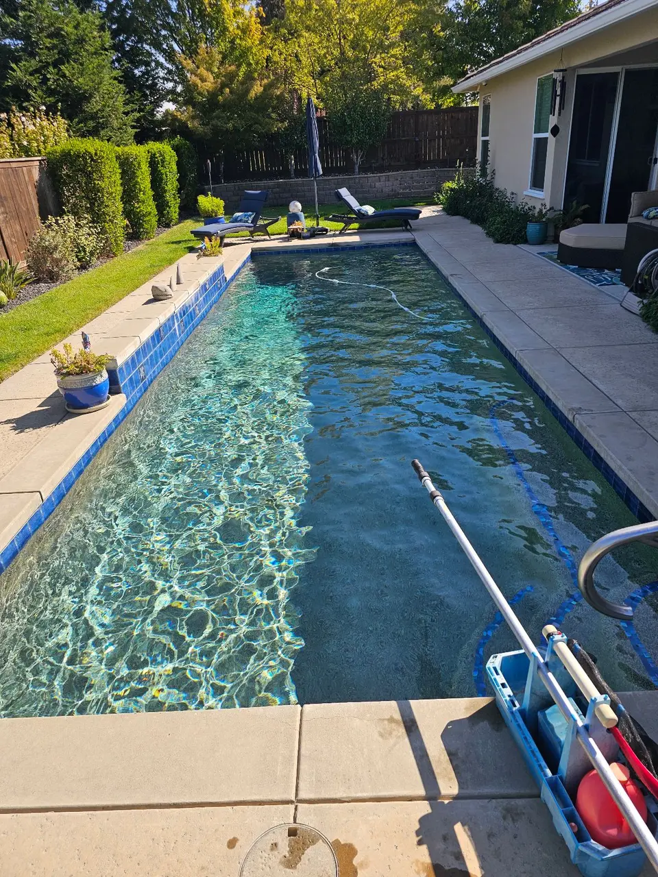 Clear, sparkling water fills a rectangular pool with blue tile, a metal handrail, and surrounding garden landscaping, after pool service in Roseville, CA