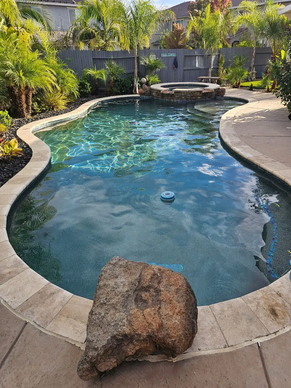 Sparkling blue water fills a freeform pool with a raised stone spa, entry steps, and surrounding palms, after pool service in Roseville, CA