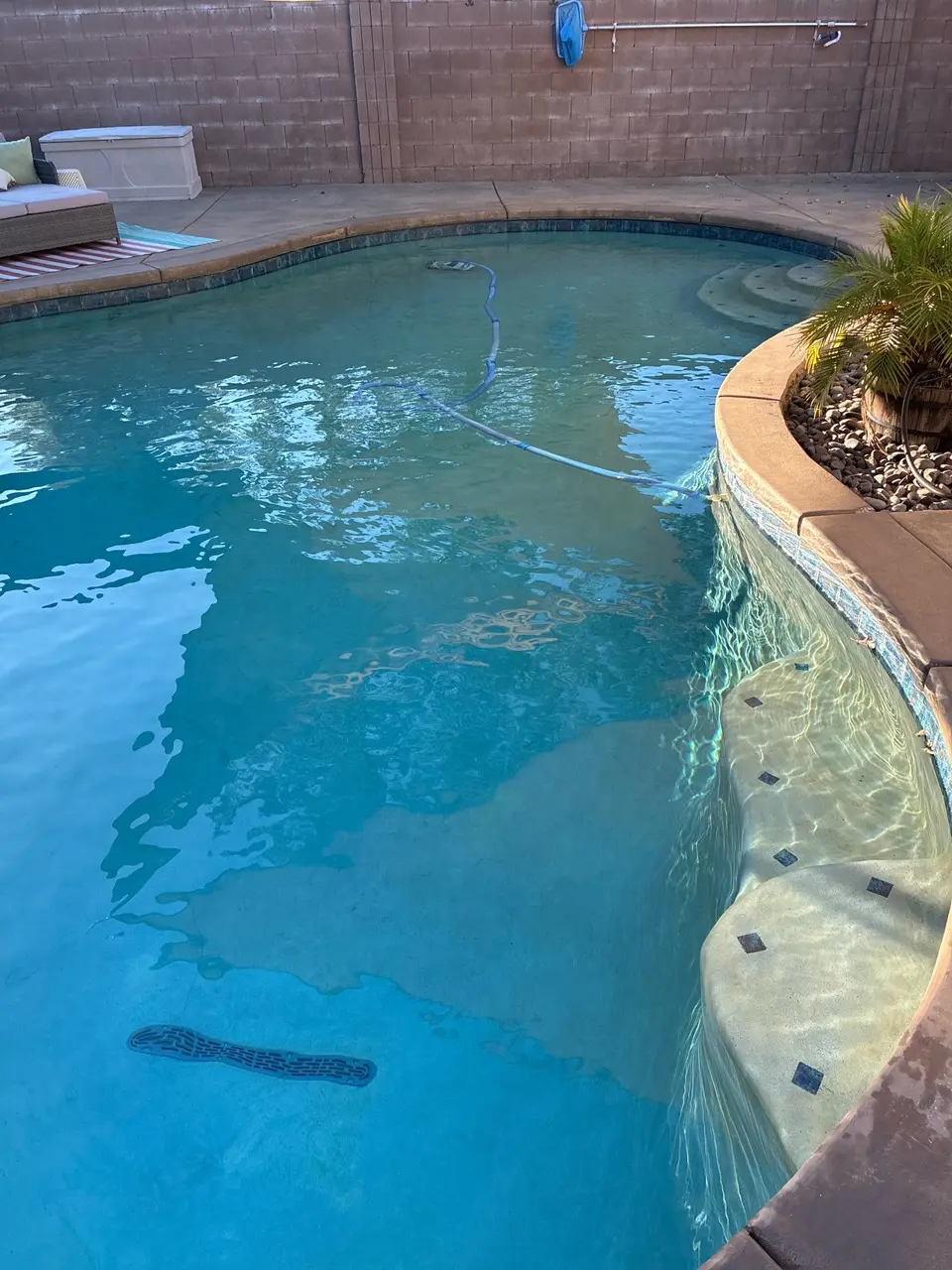 Clear blue water fills a freeform pool with curved steps, a submerged bench, and palm landscaping, after pool service in Roseville, CA