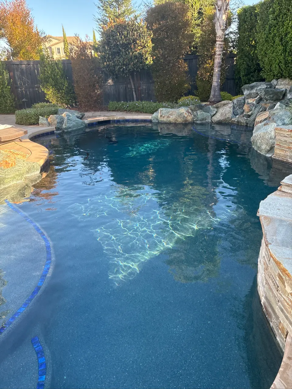 Sparkling clear water fills a freeform pool with blue-tiled steps, rock waterfall, and lush surrounding landscaping, after pool service in Roseville, CA