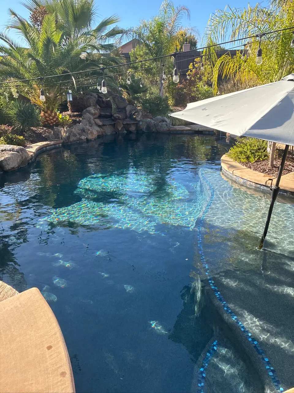 Sparkling blue water fills a freeform pool with rock work, tiled steps, an umbrella, and surrounding palms, after pool service in Roseville, CA