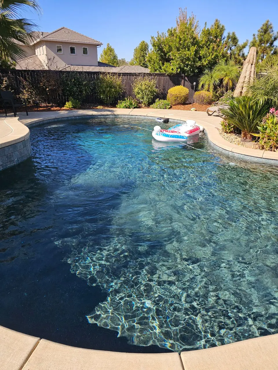 Sparkling blue water fills a freeform pool with curved coping, waterline tile, tropical landscaping, and an inflatable float, after pool service in Roseville, CA