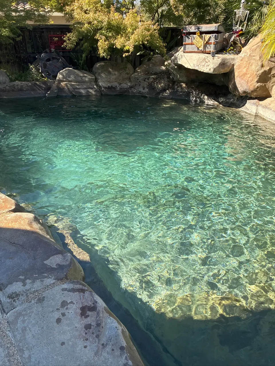 Clear turquoise pool water shimmers beside natural rock edging, a rock grotto, and lush landscaping, after pool service in Roseville, CA