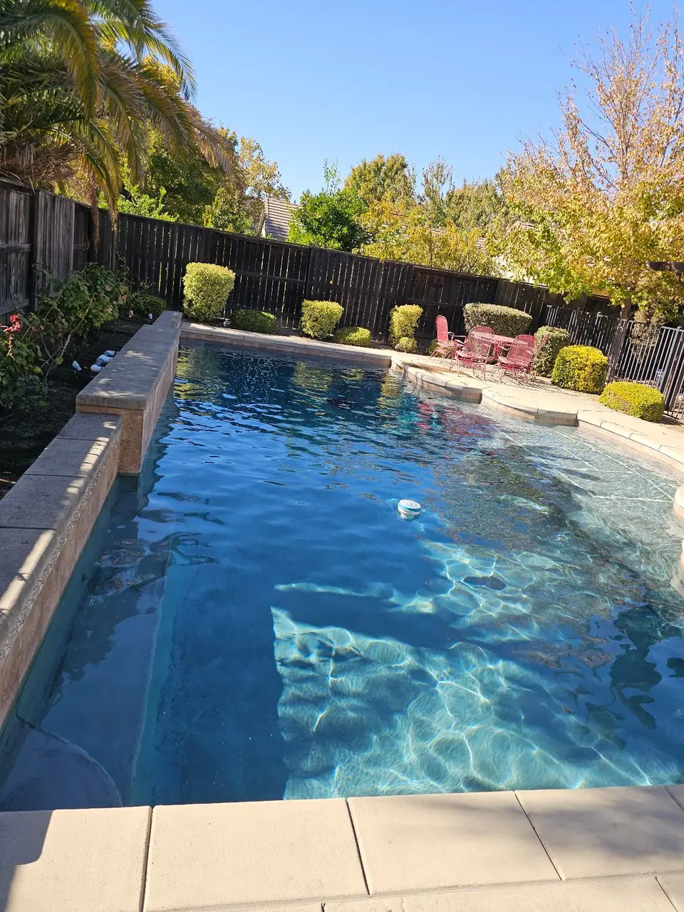Sparkling blue pool water reveals shallow steps, bordered by stone coping, trimmed shrubs, and palm trees, after pool service in Roseville, CA