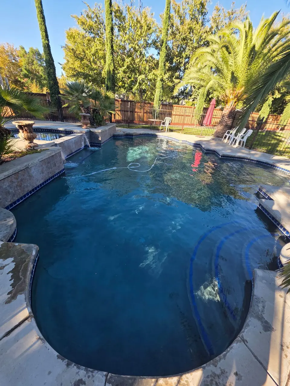 Clear blue pool with curved entry steps, raised spillover spa, stone coping, and lush palm landscaping, after pool service in Roseville, CA