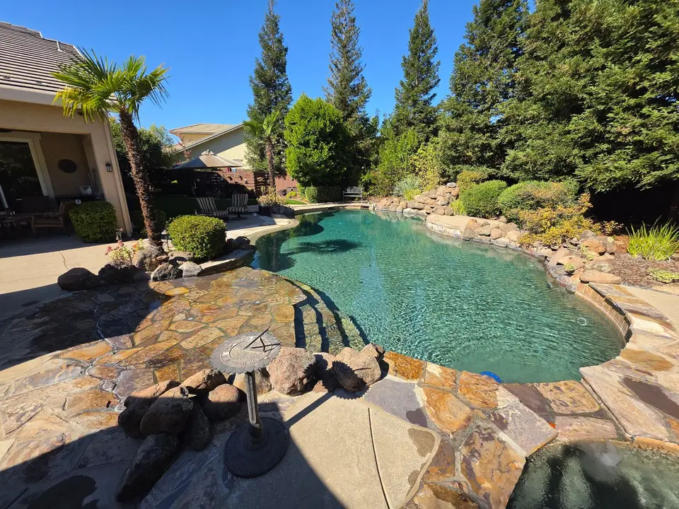 Sparkling turquoise water fills a freeform pool with curved steps, stone coping, a partial spa, and lush landscaping, after pool service in Roseville, CA