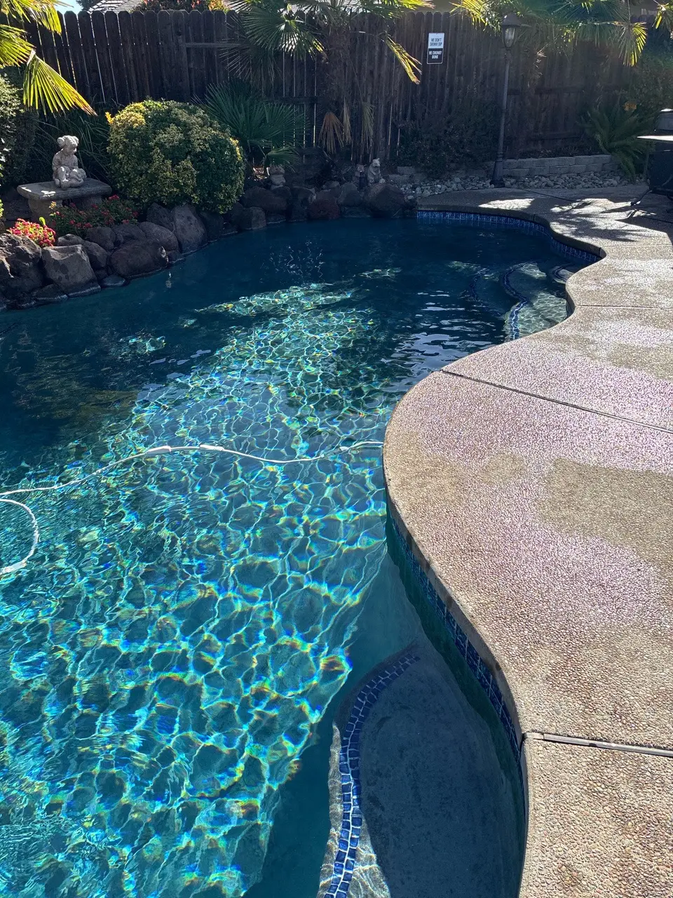 Clear blue water fills a freeform pool with curved steps, blue tile trim, rock borders, and tropical landscaping, after pool service in Roseville, CA