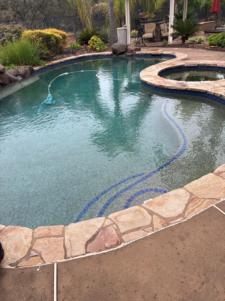 Clear turquoise water fills a freeform pool with curved steps, stone coping, an attached spa, and palm landscaping, after pool service in Roseville, CA