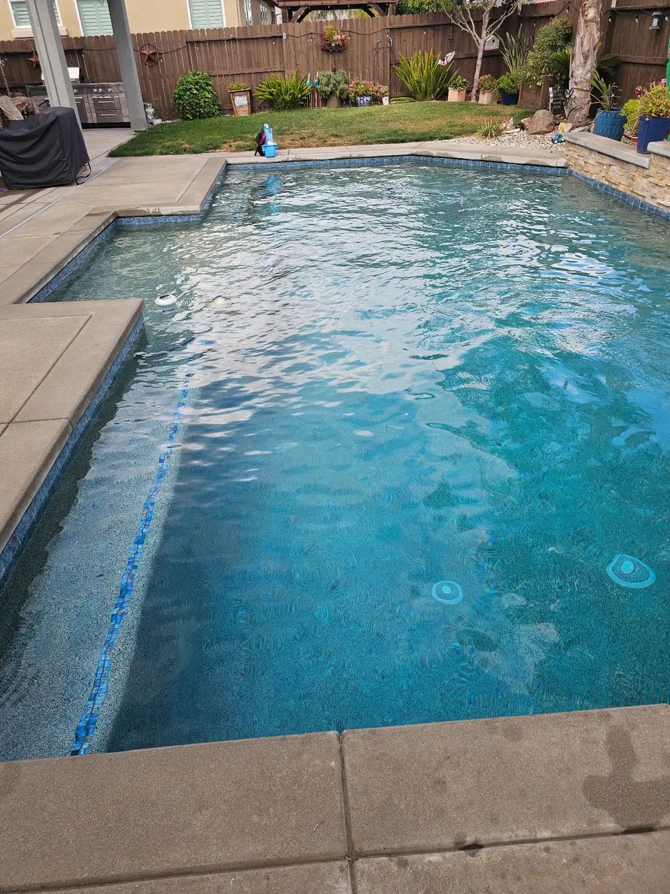 Clear blue pool water reveals a long submerged bench, blue tile trim, and a landscaped backyard, after pool service in Roseville, CA